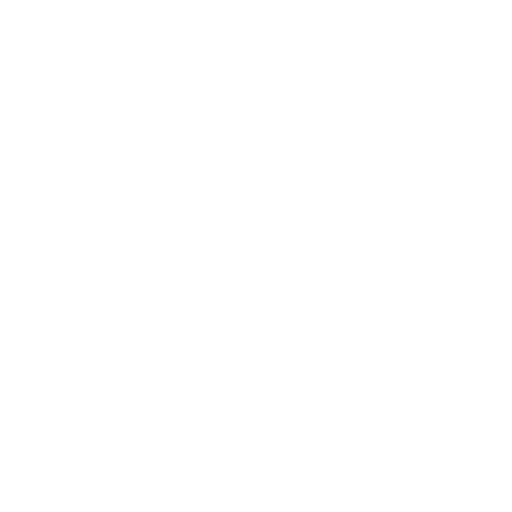 roka white logo-02